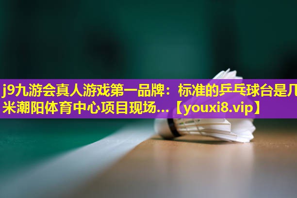 j9九游会真人游戏第一品牌：标准的乒乓球台是几米潮阳体育中心项目现场…